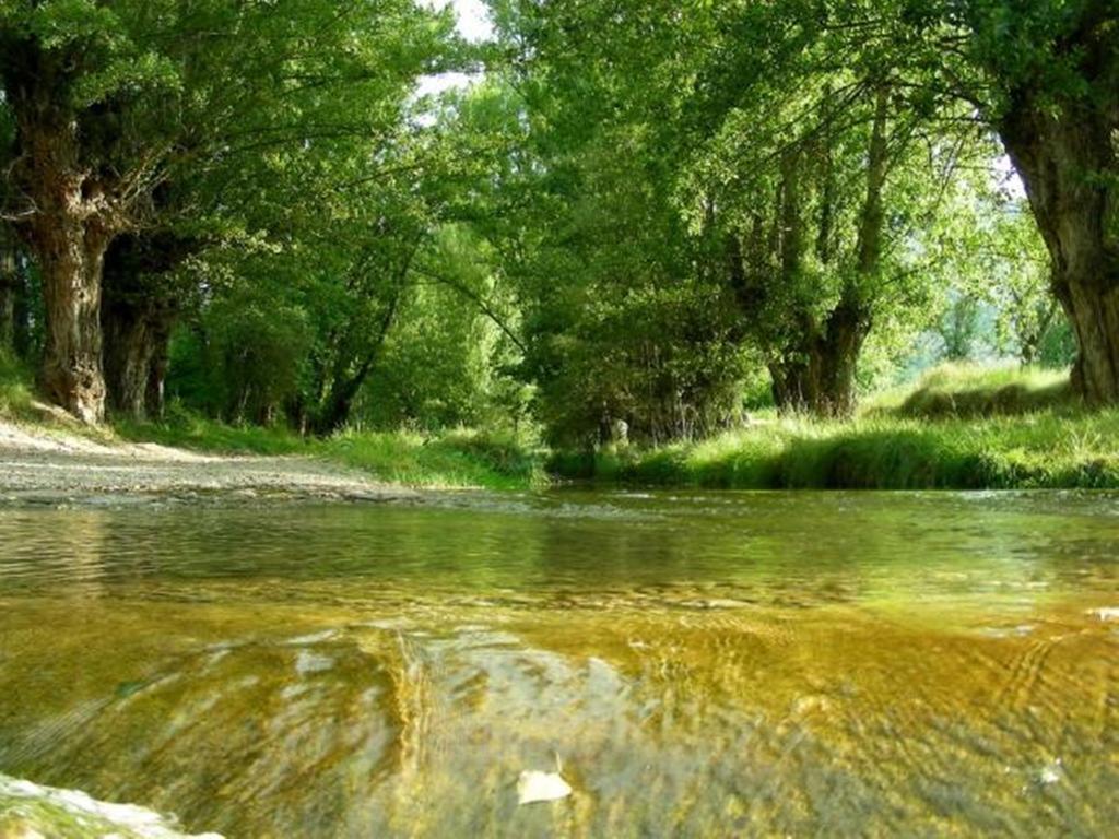 Hotel Rural El Horno De Алиага Экстерьер фото